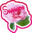 Shannon