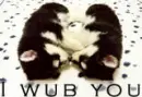  i wub you