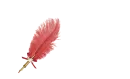 Malcolm - Feather Pen Red