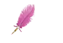 Leonisa - Feather Pen Dark Pink