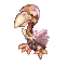 Condor