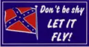 Rebel Flag