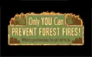 Prevent Forest Fires