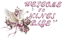 Welcome to Nanc's Page