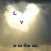 love is in the air