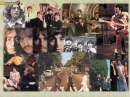 the beatles coloage
