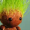 GrassBoy Ã–