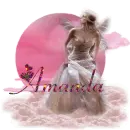 amanda