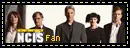 NCIS Fan