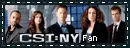 CSI NY Fan