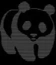 panduhz