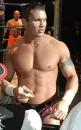 rany orton is so hot 