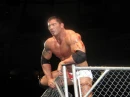 BATISTA on a cage 