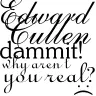 Edward Cullen.. Dammit!