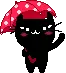 black cat in umbrella