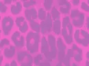 pink leopard 5