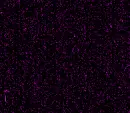 purple static