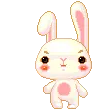 cute & funny bunny