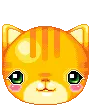 cute kitty head