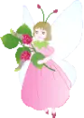 pixi