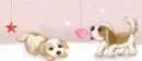 cute little pupps
