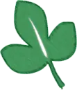 hoja