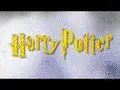 Harry Potter Ghetto Song