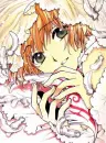 tsubasa chronicle
