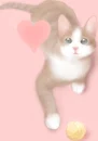 lovely kitty
