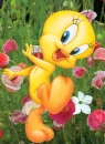 may flowers