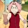 Sakura