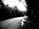 beauty near dark