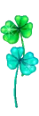 clover