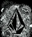 Volcom 