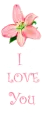 love you