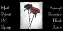 black and red rose