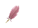 Feather Pen Rose - Dhivyia