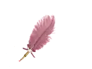 Feather Pen Rose - Janice 