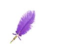 Feather Pen Dark Purple - Prescy