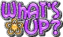 whts up