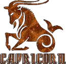 Capricorn