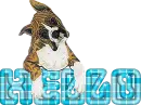 Boxer hello moo 1