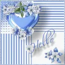 Amarillys Hello