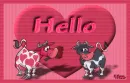 Cows Pink Hello