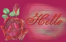 Red Rose Hello