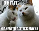 wit a stick