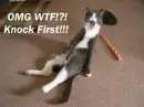 mr fluffers!!!!!!!!!!!!!!