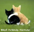 buddies!