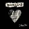 blink 182