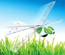 digi-fly